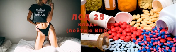 прущая мука Арсеньев