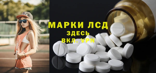 гашик Аркадак