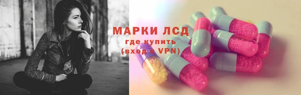 гашик Аркадак