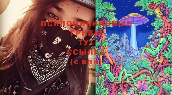 гашик Аркадак