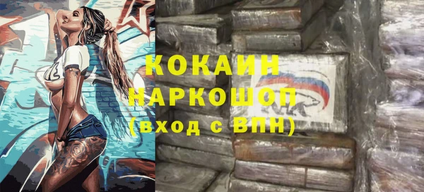 гашик Аркадак