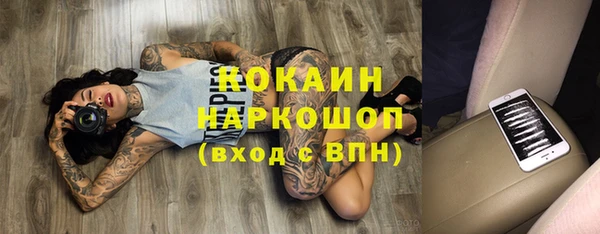 гашик Аркадак