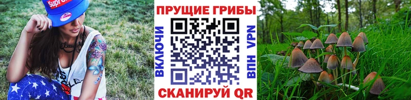 Галлюциногенные грибы Magic Shrooms  наркошоп  Тарко-Сале 